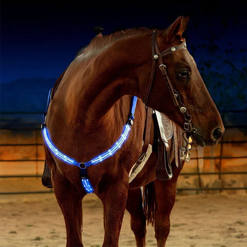 Arnês e coleira de peito para cavalo com LED, visível à noite, ideal para corridas equestres.