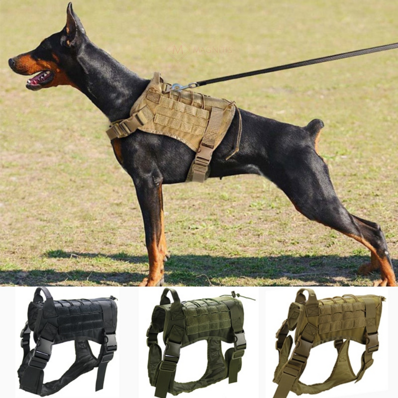 Arnês militar tático para cães™