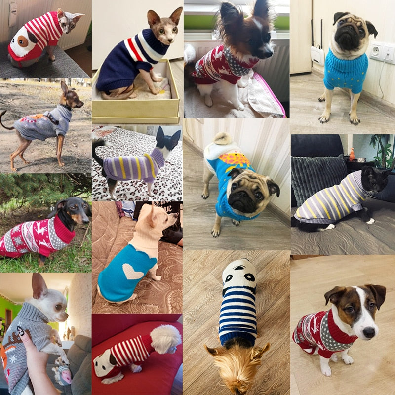 Roupas quentes de malha para cães