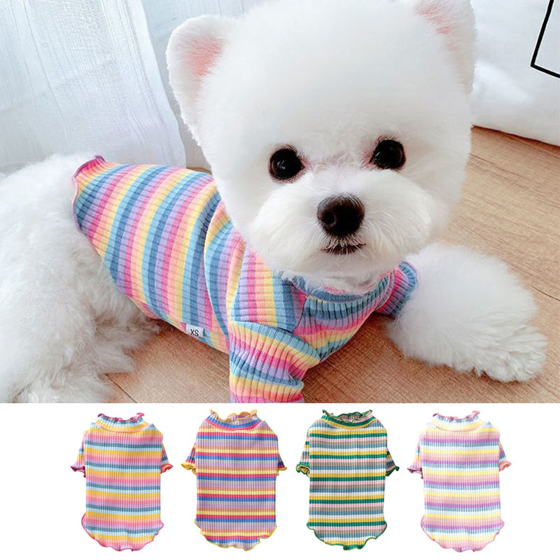 Roupas de primavera para cães