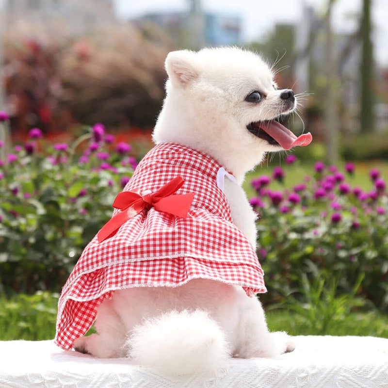 Roupas de primavera para cães