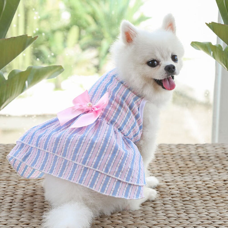 Roupas de primavera para cães