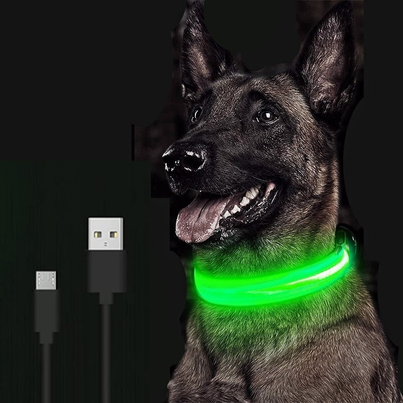 Coleira LED brilhante para cães