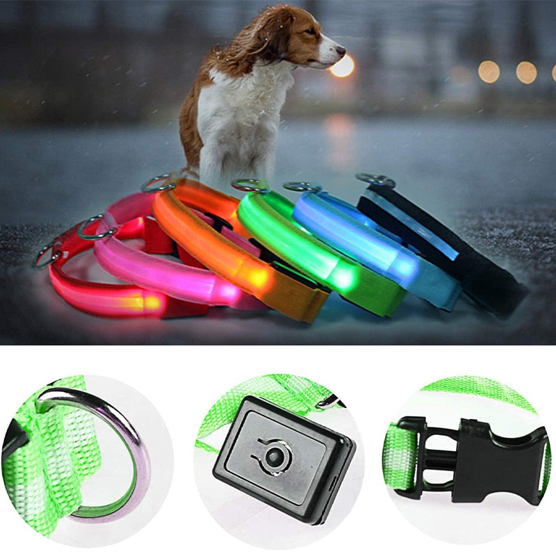 Coleira LED brilhante para cães